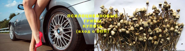 бутират Балахна