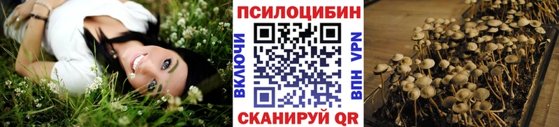 закладка  Шагонар  кракен маркетплейс  Галлюциногенные грибы ЛСД 