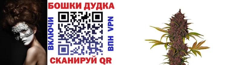 Каннабис SATIVA & INDICA  blacksprut ONION  Шагонар 